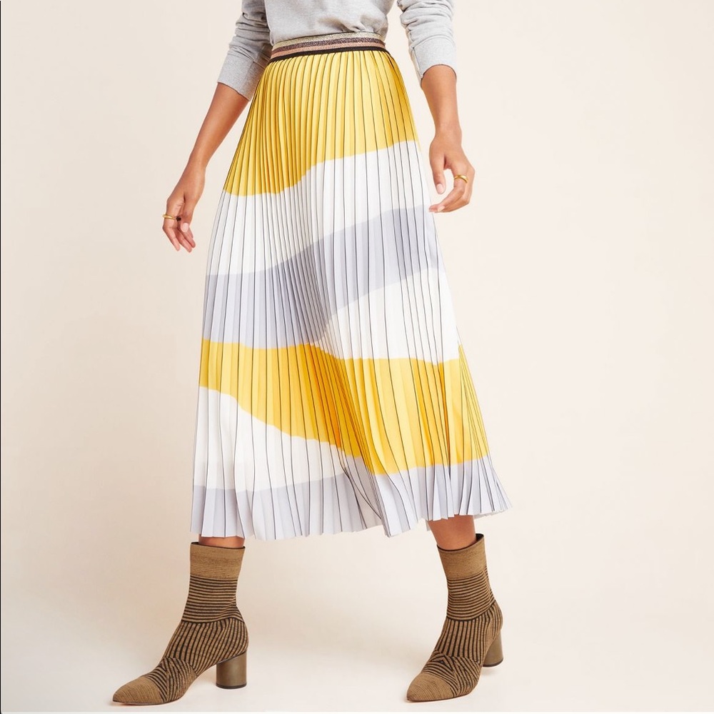 Pleated Geo A-Line Skirt